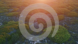 Sunlight shining green plain summer evening aerial view. Amazing golden sunset