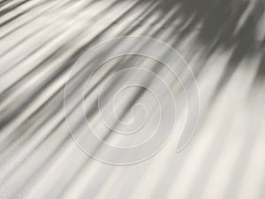 Sunlight shining through the luxaflex on a white table