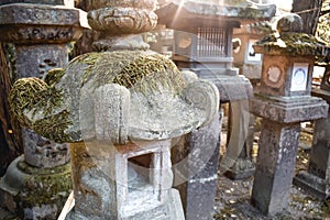 Sunlight shining over moss covered stone lanterns in Kyoto Japan