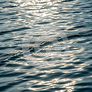 Sunlight sparkles on the surface of