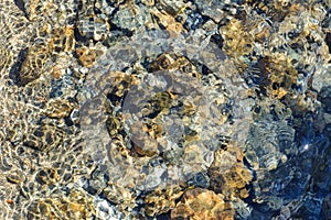 Sunlight sparkling on clear rocky streambed in daylight