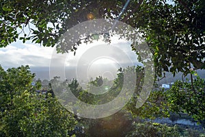 Sunlight trough green trees, Santa Cruz de La Palma, Spain