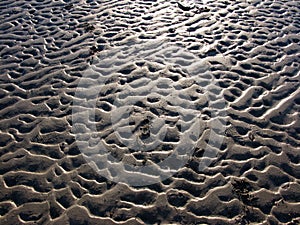 Sunlight on wet rippled sand