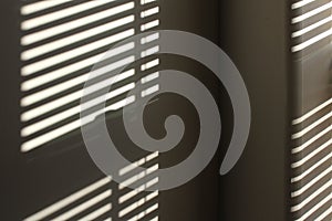 Sunlight through window blind background