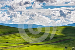 Sunlights breaking trough the dramatic clouds over green meadow