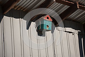 Sunlit birdfeeder