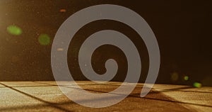 Sunlit Dust Particles Dancing in Warm Light