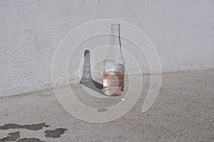 Sunlit Elixir: Rosy Glow Within photo