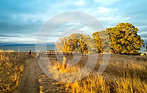 Sunlit fall season nature background with walking path, golden g