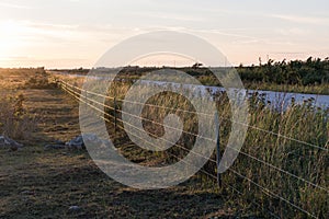 Sunlit fence by roadside