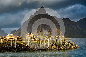 Sunlit fish racks Lofoten