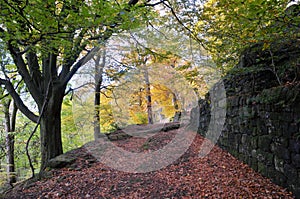 Sunlit footpath next to a moss covered stone wall in autumn woodland with orange and golden leaves against dark trees