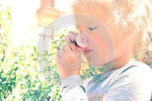 Sunlit  little girl smelling summer flowers of wild rose . Happy child enjoying nature outdoors