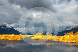 Sunlit marsh with moody skies