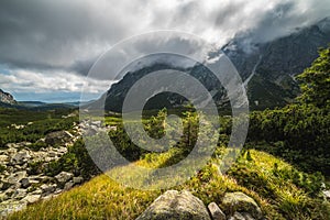 Sunlit Mountain Landscape with Plants and Clouds