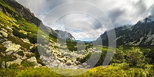 Sunlit Mountain Landscape with Plants and Rocks