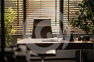 Sunlit office oasis chiefs workplace, table, chair, and open blinds