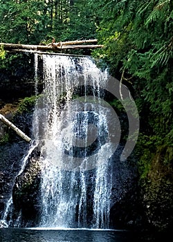 Sunlit Oregon Waterfall