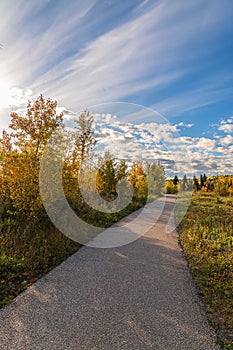 Sunlit Park Pathway In Cochrane