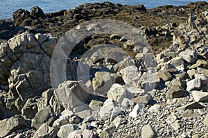 Sunlit rocks on coast of atlantic ocean with seaweed