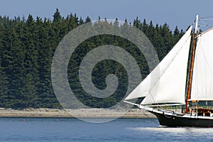 Sunlit Sails of Schooner Sailboat Passes Along Island Shore