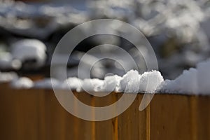 Sunlit snow on top of cedar fence in backyard