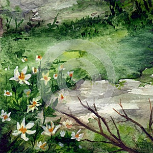 A sunlit summer glade with flowers in the forest wood among the grass and branches. Hand drawn watercolor art