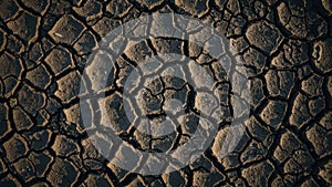 Sunlit texture of dry, cracked mud.