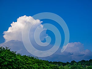 Sunlit top of the massive rain cloud, Cumulus congestus, in the blue sky over wooded hill in the early evening