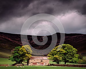 Sunlit trees and barn with gloomy sky background in Edale, Derbyshire in the Peak District, UK
