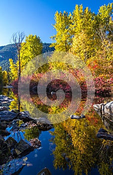 Fall Reflections on the Wenatchee River, Washington State