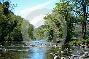 Sunlit view along a calm but rocky river that runs between trees