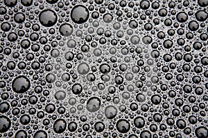 Sunlit water droplets on black car