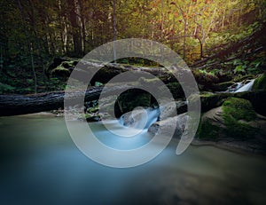 Sunlit waterfall and fallen log in forest