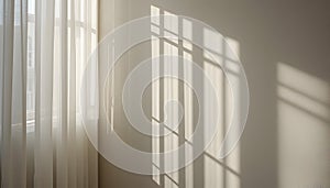 Sunlit Window Shadows