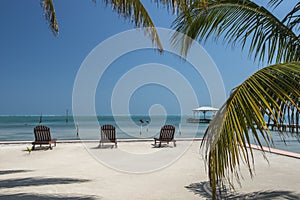 Sunloungers palm tree Caye Caulker Belize