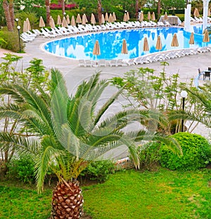 Sunloungers and parasols by the swimming pool in a palm tree garden, Turkey