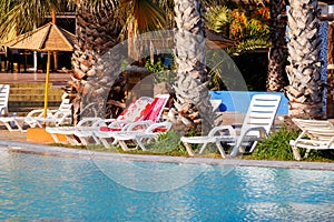 Sunloungers on swimming pool