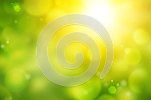 Sunny abstract green nature background bokeh
