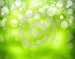 Sunny abstract green img