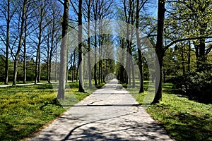 Sunny alley in the French Garden, Celle