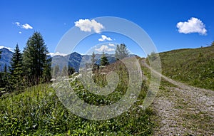 Sunny alpine landscape with hiking path