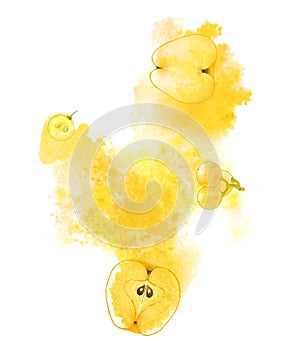 Sunny apples and grapes and yellow splash on white background. Hand-painted abstract illustration
