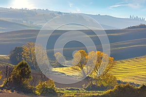 Sunny Autumn agriculture landscape, Tuscany