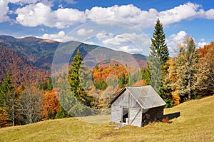 Sunny autumn day