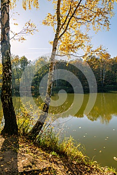 Sunny autumn day in the park. Muchowiec, Katowice, Silesia, Poland