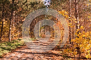 Sunny autumn day view along the pathway on Humber Valley Heritage Trail near Kleinburg, Ontario, Canada photo