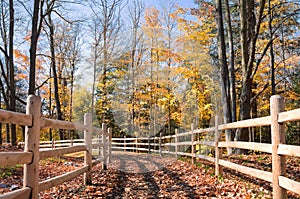 Sunny autumn day view along the pathway on Humber Valley Heritage Trail near Kleinburg, Ontario, Canada photo