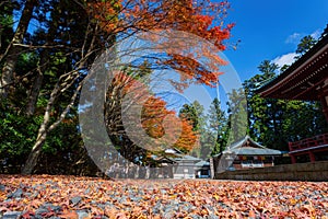 Sunny autumn landsacpe at Mount Hiei