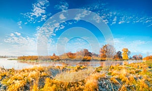 Sunny autumn landscape. Colorful fall meadow by the river under clear blue sky